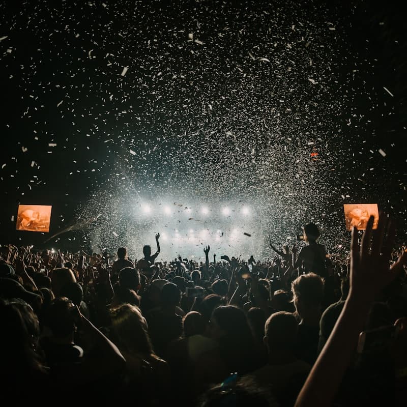 Solstice Sound Festival — Weekend One — The space